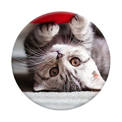 Imagem de Pop Socket - Gatinho