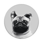 Pop Socket - Pug