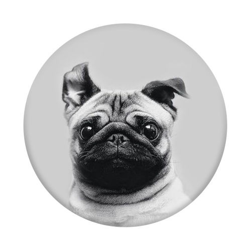 Imagem de Pop Socket - Pug